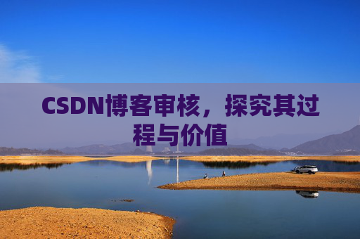 CSDN博客审核，探究其过程与价值
